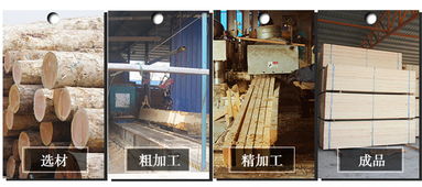 建筑、建材與建筑材料 構筑現代文明的基石